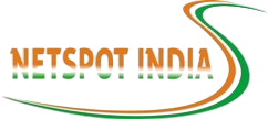 Netspot Services Logo